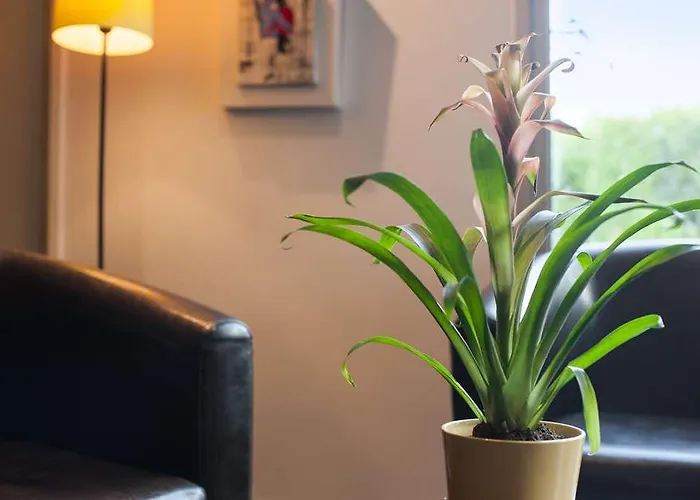 Ogrouen Nord La Berteliere Hotel